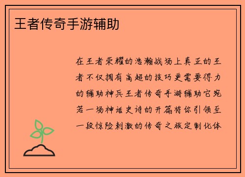 王者传奇手游辅助